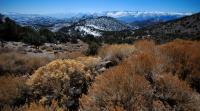 Sierra Mountains�